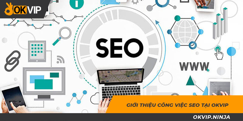 Tổng hợp thông tin về công việc SEO tại OKVIP