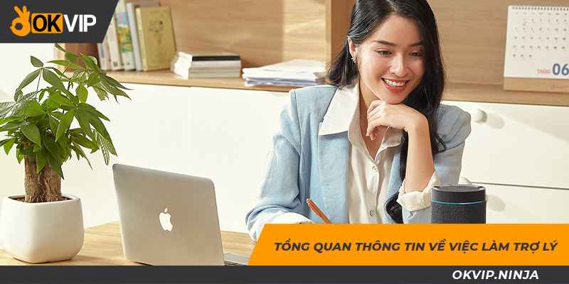 Cơ bản thông tin về việc làm trợ lý