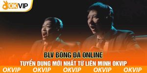 việc làm BLV bóng đá