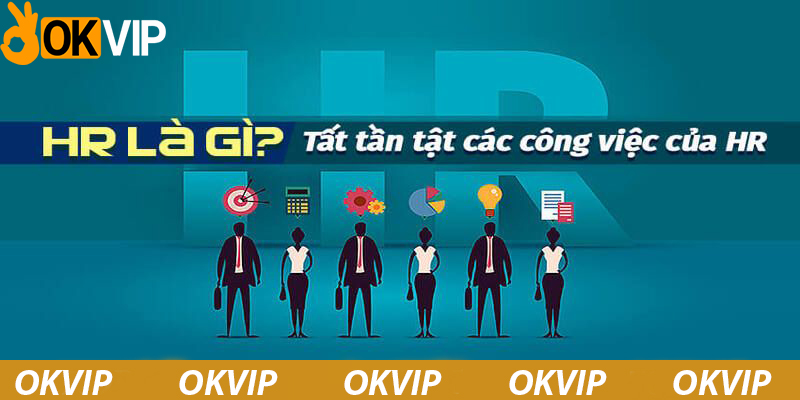 Chế độ đãi ngộ cực hấp dẫn cho vị trí tuyển dụng HR OKVIP