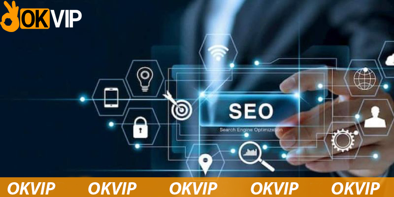 Điều kiện làm việc tại OKVIP cho vị trí Seo