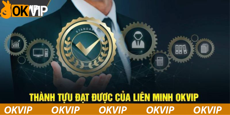 Okvip đã đạt được nhiều thành tựu trên thị trường