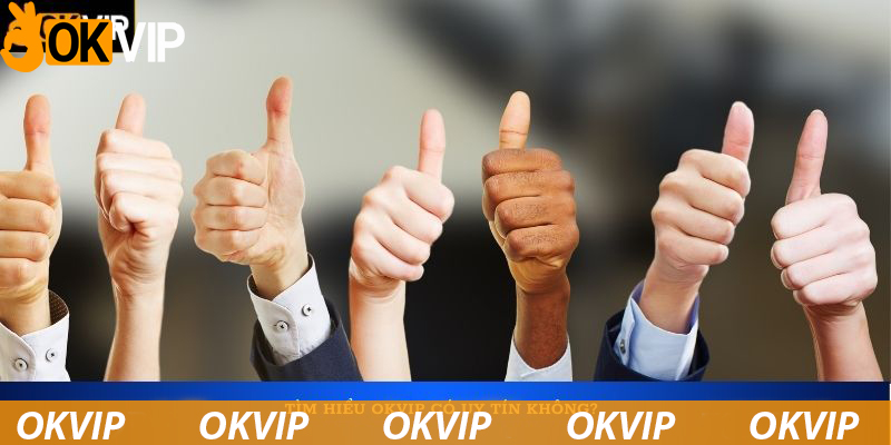 Tìm hiểu OKVIP có uy tín không?